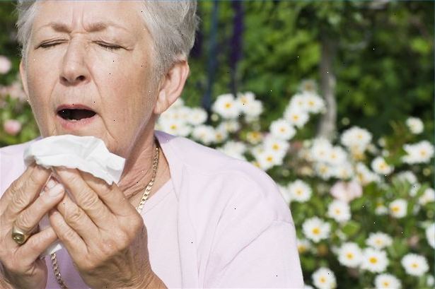 Hvordan skal man behandle allergi sæsonen. Fjern rod i dit hjem.
