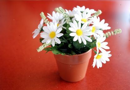 Hvordan at sende blomster til et hospital patient. Den første ting at gøre, er at ringe til hospitalet.